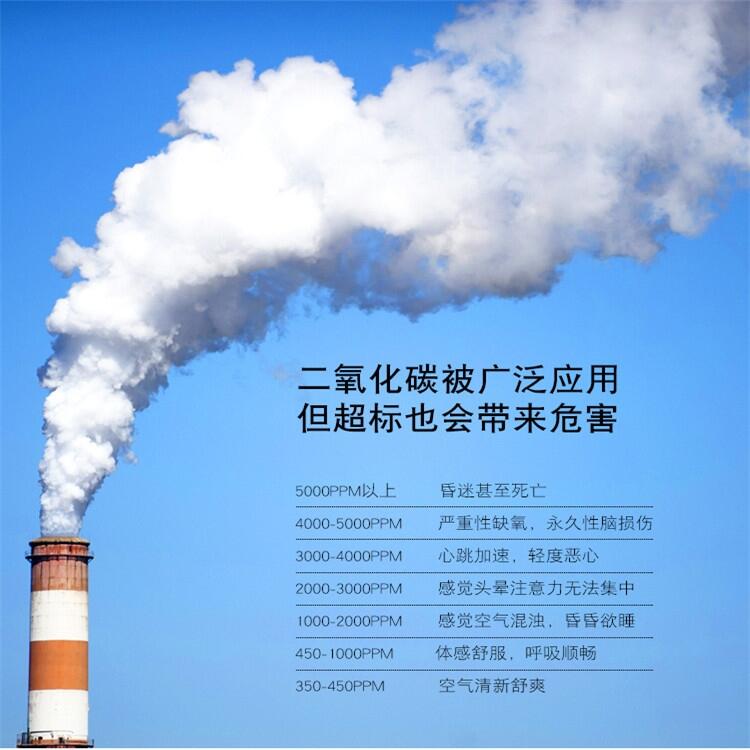 CO2泄漏探測(cè)儀器 外形精美