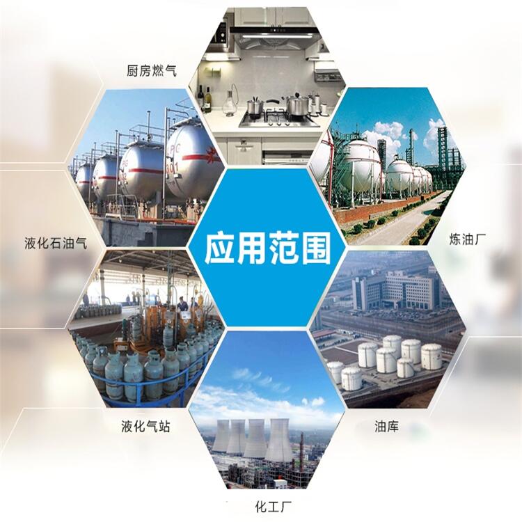 有毒，有害H2S探測(cè)器供應(yīng)